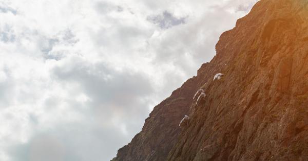 Онези смелчаци които търсят силни усещания за да вдигнат адреналина