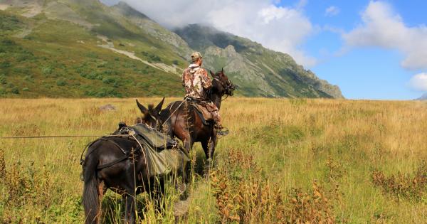 Един конник минавайки по пътя видял как малка отровна змия