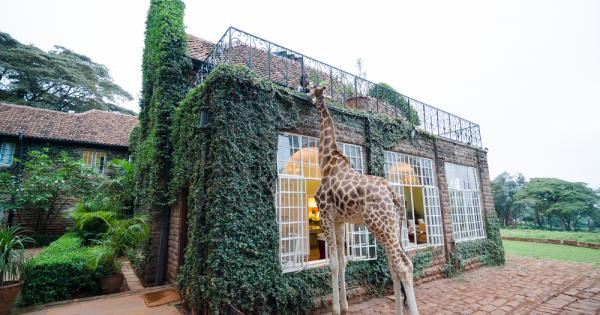 Необикновеният хотел Giraffe Manor в Найроби Кения е построен през