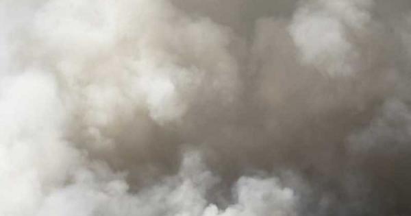 Според изследване на учени от Йейлския и Пекинския университет хроничното