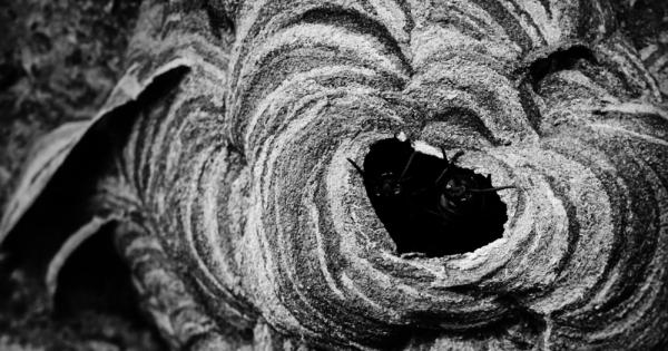 Преди няколко години от тостера на американката Даян Дуайзър излиза