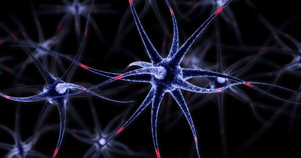 Изследване проведено върху мишки показва че симптомите на шизофренията вероятно