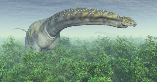 С тегло от 63 тона което го прави по тежък от