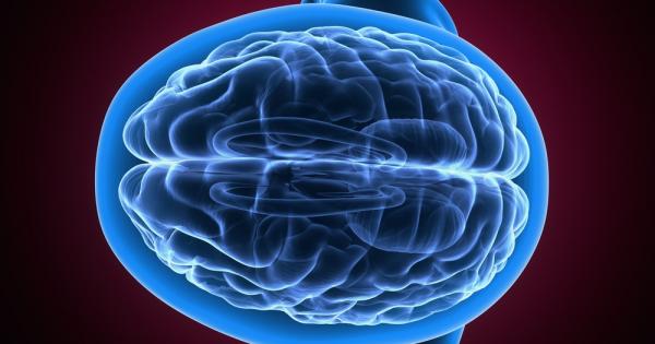 Точният механизъм за развитието на наркотична зависимост и досега остава