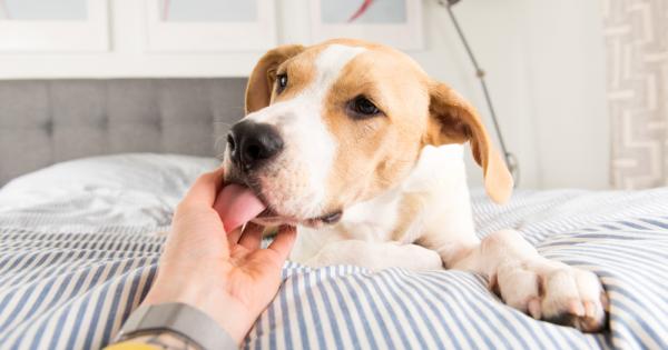 Напълно здрав 63 годишен мъж получи септичен шок придружен от множествена