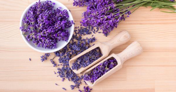 Комарите са неприятни същества Жуженето им е влудяващо а ухапванията