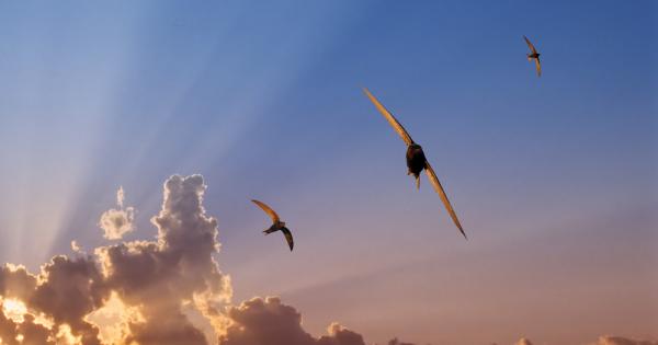 Благодарение на миниатюрните електронни етикети учени са открили че обикновения