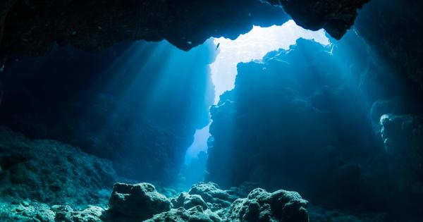 Загадъчните подводни кръгове забелязани край бреговете на Дания не са