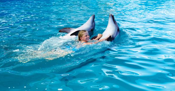 Делфинче на 9 дни е починало в делфинариума във Варна