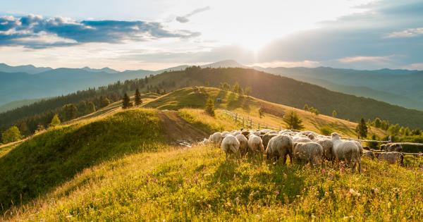 В едно село живеел беден селянин който се грижел за