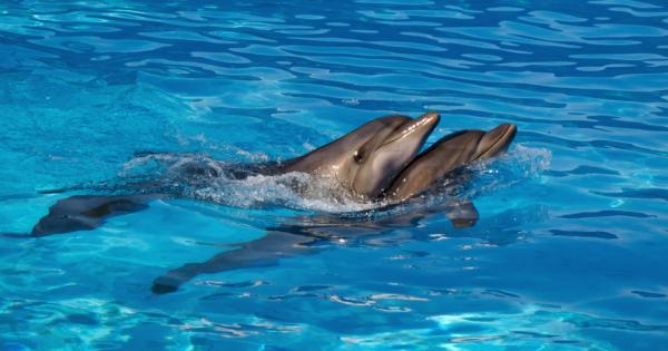 Вероятно не е изненада но наистина се знае твърде малко