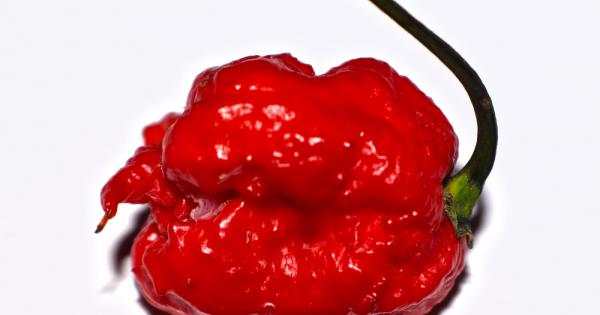 Експериментите с лютото не са безопасни предупреждават лекари След като