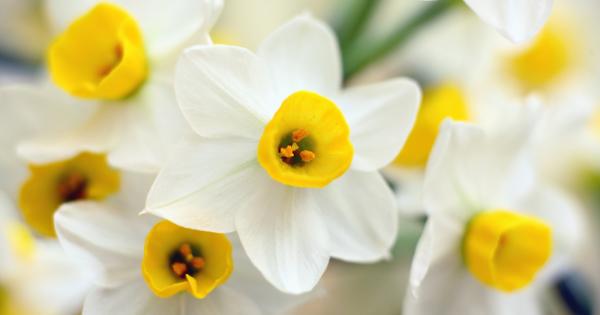 Кое е най нежното от всички чувства Сигурно повечето от нас