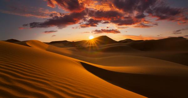 Вероятно си представяте Сахара като лишено от живот място потънало