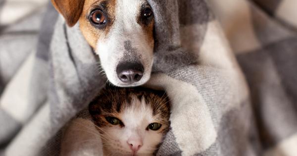 Според скорошни проучвания хората които имат домашен любимец се справят