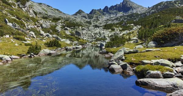 На 4 януари в София Пловдив Варна Бургас Русе Стара