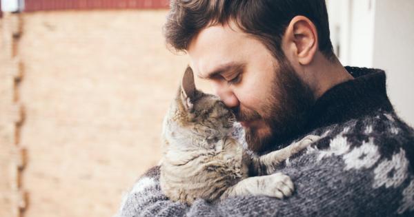 Котките могат да бъдат очарователни и гушливи но всеки който