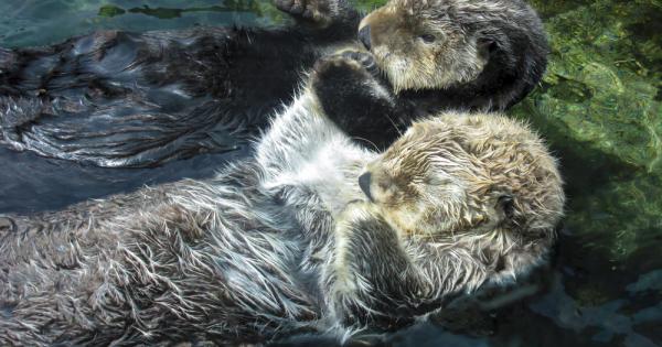 Със сигурност някои от вас са попадали на онази сладка