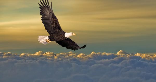 Когато Бог сътворил човека решил да го попита какъв иска