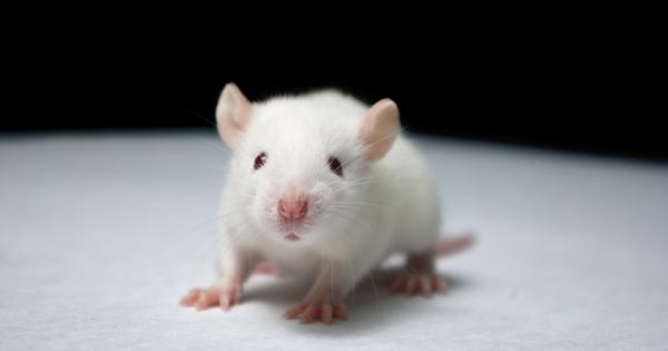 Фонтанът на младостта явно не се интересува от кой вид