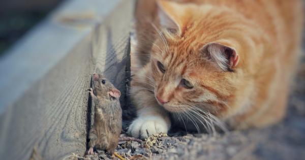 Една вечер по пътя се срещнаха селянин и поет И