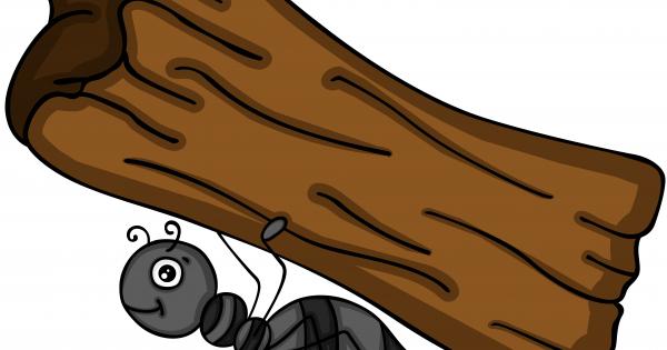 Всеки ден малката Мравка пристигаше рано на работното си място