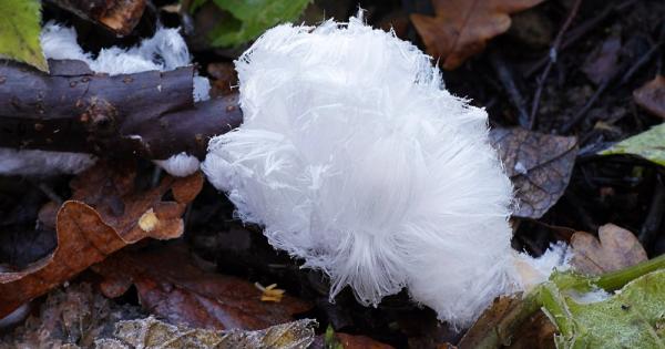 Запознайте се с едно невероятно красиво и много рядко природно