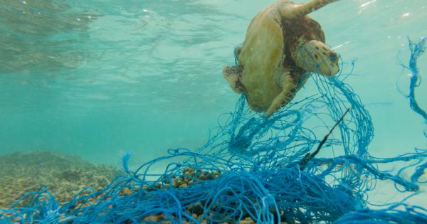 Добре дошли в антропоцена неформален геохронологичен термин с който