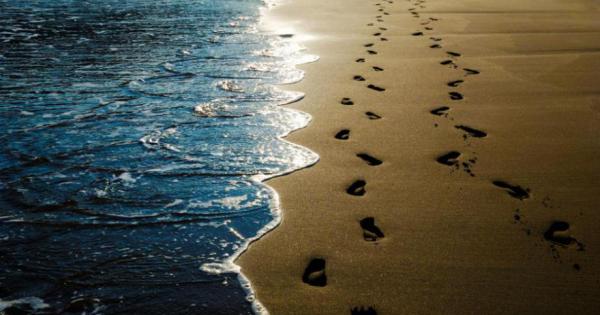 Крилатата фраза изречена от бащата на медицината Хипократ – че