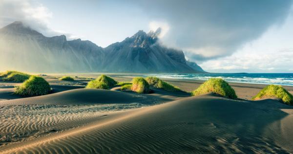 Малко над 1 процента от територията на Исландия е залесена