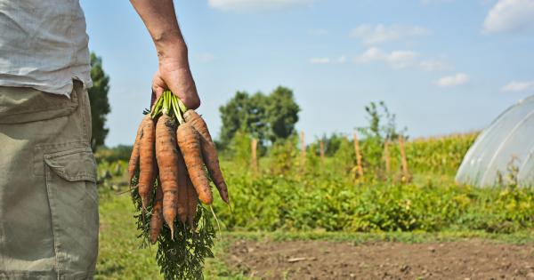 Жълтият и червеният кожен пигмент се приемат като по привлекателни с