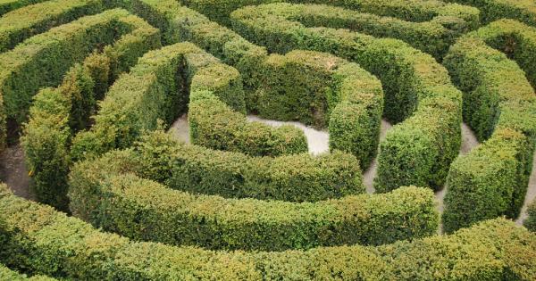 Веднъж Учителя отишъл с един от най добрите си ученици в голям