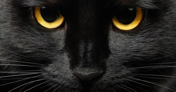 На 10 март 1940 г светът се сбогува с Михаил