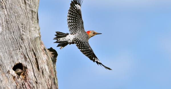 Като родители на 3 деца с жена ми често мислим