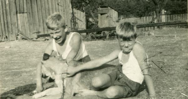 Едно отскачане на тенис топка беше достатъчно за да ме