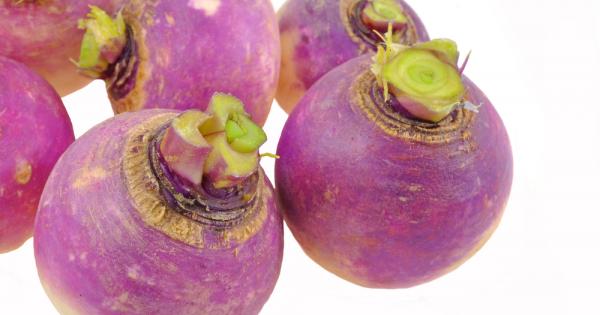 Ряпата е зеленчук който вирее добре в нашите географски ширини