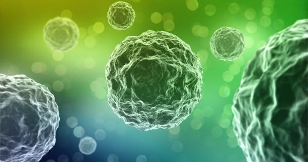 За първи път учените демонстрираха как организъм без нервна система