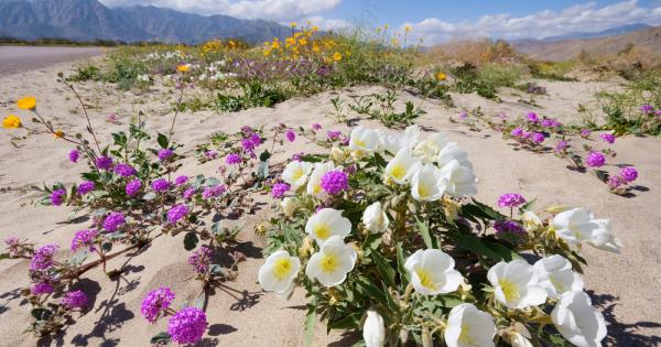Онези от вас които ценят чистотата на околната среда знаят