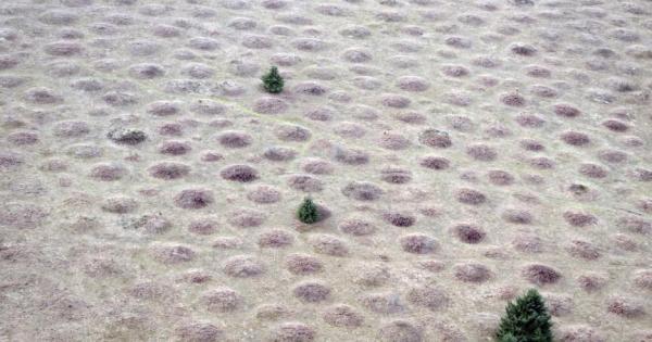 Море от могилки сред прерията Приличат на обърнати купи за