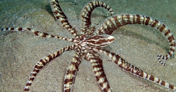 Суперсилите на героите от комиксите не са съвсем нереални Сред