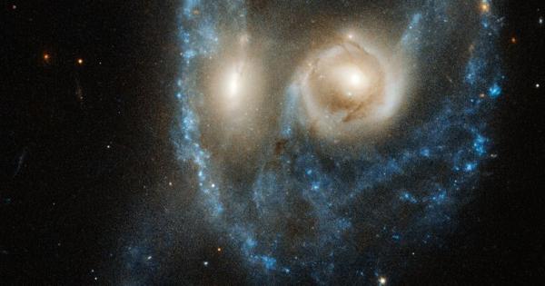 Хората могат да виждат лица навсякъде В петната по килима