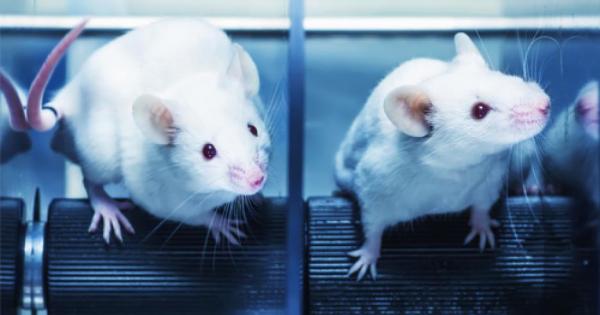 Отбелязва се от 1979 г по инициатива на Международната асоциация