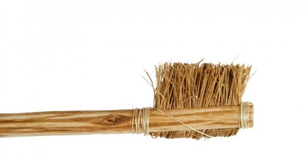 Те са големи грозни и смърдят
Знаете ли че двете най големи