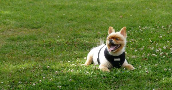 Убил ли е Сър Артър Конан Дойл приятеля си Бертрам