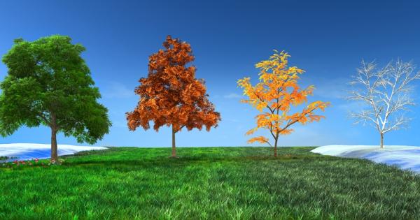 Погледнете снимките по долу и изберете едно дърво това което отначало