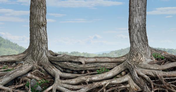Те могат да изпитват болка и да чувстват страх Дърветата
