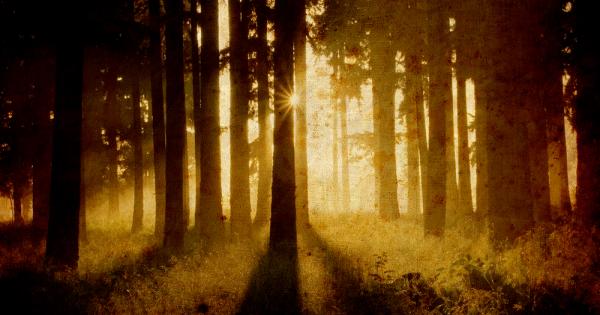 Всички се опитваме да намерим своя път Искаме да открием