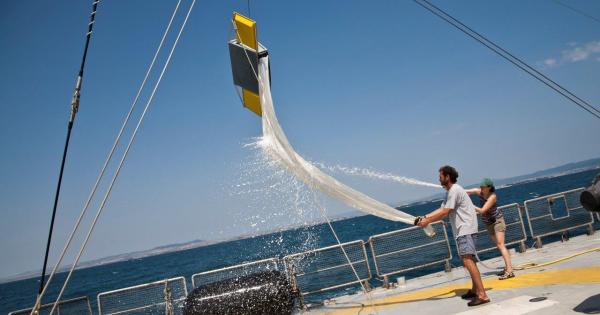 Посещението на световноизвестния ветроходен кораб Rainbow Warrior на екоорганизацията Грийнпийс