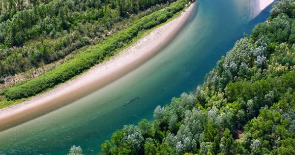 Дунавският регион трябва да развива туризъм заради природата а не