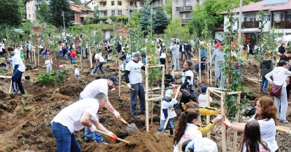 Деветото поредно издание на инициативата Моят зелен град ще се